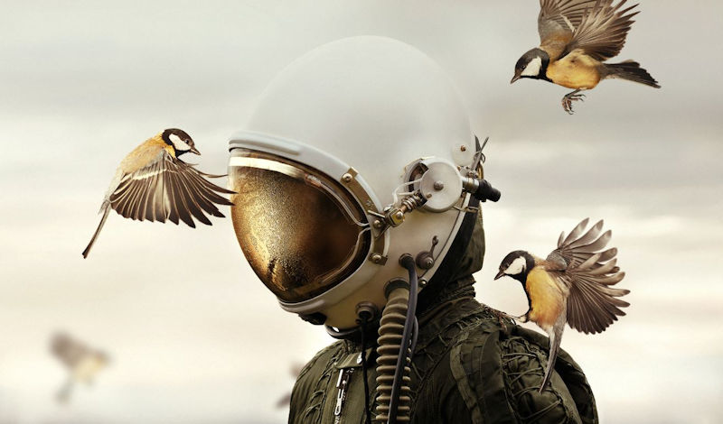 Martin Stranka – ‘Dreamers and Warriors’ Martin Stranka – ‘Dreamers and Warriors’