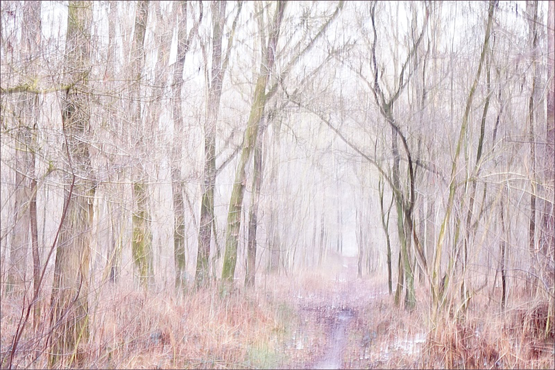 Jacob Berghoef 'Yawning winter morning' Jacob Berghoef 'Yawning winter morning'