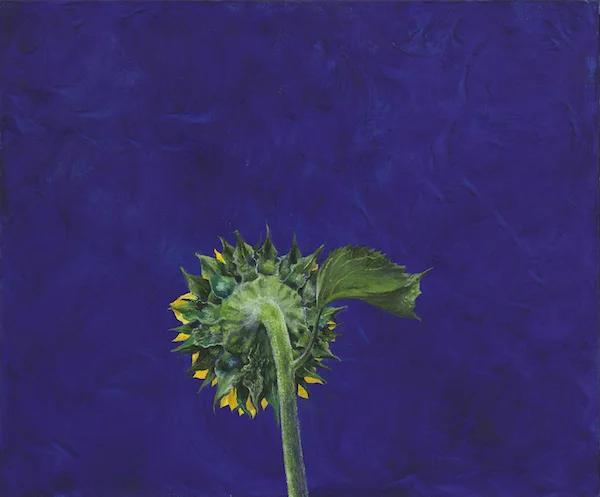 Erik Andriesse - Zonnebloem