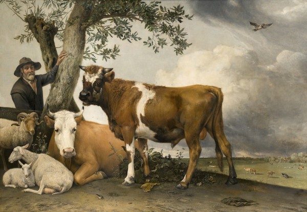 Paulus Potter De stier, 1647 Mauritshuis, Den Haag 