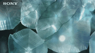 Freezing Bubbles. Een ongelooflijke natuurfenomeen is vastgelegd op video voor de eerste keer - het tonen bubbels bevriezen in de lucht voordat ze barsten. De opmerkelijke beelden - gefilmd op camera's met vier keer scherper dan de standaard HD-kwaliteit - toont een groep kinderen bellen blazen in een besneeuwd bos. De film, gedraaid in de bevriezing Canadese bossen in de buurt van Whistler, registreert het unieke proces van bellen kristalliseren en te veranderen in holle blokken ijs - zonder de computer gegenereerde tovenarij. Bubbles, geblazen in de aloude traditie van het mengen van afwasmiddel met water, snel bevriezen zodra ze op de sub-zero lucht, alvorens langzaam drijvend op de grond. De ijzige bubbels zijn taai genoeg om te worden gehouden in een hand, maar wanneer ze pop, het ijs breekt en vliegt in alle richtingen. Een ongelooflijke natuurfenomeen is vastgelegd op video voor de eerste keer - het tonen bubbels bevriezen in de lucht voordat ze barsten. De opmerkelijke beelden - gefilmd op camera's met vier keer scherper dan de standaard HD-kwaliteit - toont een groep kinderen bellen blazen in een besneeuwd bos. De film, gedraaid in de bevriezing Canadese bossen in de buurt van Whistler, registreert het unieke proces van bellen kristalliseren en te veranderen in holle blokken ijs - zonder de computer gegenereerde tovenarij. Bubbles, geblazen in de aloude traditie van het mengen van afwasmiddel met water, snel bevriezen zodra ze op de sub-zero lucht, alvorens langzaam drijvend op de grond. De ijzige bubbels zijn taai genoeg om te worden gehouden in een hand, maar wanneer ze pop, het ijs breekt en vliegt in alle richtingen. Een ongelooflijke natuurfenomeen is vastgelegd op video voor de eerste keer - het tonen bubbels bevriezen in de lucht voordat ze barsten. De opmerkelijke beelden - gefilmd op camera's met vier keer scherper dan de standaard HD-kwaliteit - toont een groep kinderen bellen blazen in een besneeuwd bos. De film, gedraaid in de bevriezing Canadese bossen in de buurt van Whistler, registreert het unieke proces van bellen kristalliseren en te veranderen in holle blokken ijs - zonder de computer gegenereerde tovenarij. Bubbles, geblazen in de aloude traditie van het mengen van afwasmiddel met water, snel bevriezen zodra ze op de sub-zero lucht, alvorens langzaam drijvend op de grond. De ijzige bubbels zijn taai genoeg om te worden gehouden in een hand, maar wanneer ze pop, het ijs breekt en vliegt in alle richtingen. Een ongelooflijke natuurfenomeen is vastgelegd op video voor de eerste keer - het tonen bubbels bevriezen in de lucht voordat ze barsten. De opmerkelijke beelden - gefilmd op camera's met vier keer scherper dan de standaard HD-kwaliteit - toont een groep kinderen bellen blazen in een besneeuwd bos. De film, gedraaid in de bevriezing Canadese bossen in de buurt van Whistler, registreert het unieke proces van bellen kristalliseren en te veranderen in holle blokken ijs - zonder de computer gegenereerde tovenarij. Bubbles, geblazen in de aloude traditie van het mengen van afwasmiddel met water, snel bevriezen zodra ze op de sub-zero lucht, alvorens langzaam drijvend op de grond. De ijzige bubbels zijn taai genoeg om te worden gehouden in een hand, maar wanneer ze pop, het ijs breekt en vliegt in alle richtingen.