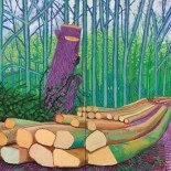 felledtreesonWoldgate_David_Hockney_Carrousel Tekstpagina