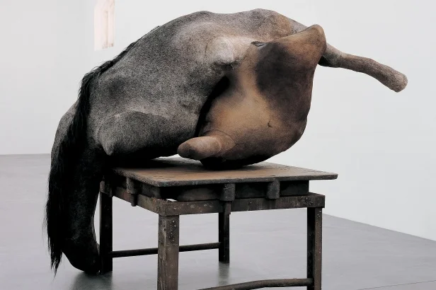 rgb_48650-4aBehalve sculpturen vormen ook haar tekeningen en vroeg werk in textiel een belangrijk onderdeel van deze tentoonstelling. De Bruyckere gebruikt haar tekeningen, vaak aquarel en gouache gecombineerd op oud papier of karton, als verdiepende studies in de thema’s die zij eveneens in haar sculpturen verwerkt. Daarbij laat ze zich onder meer inspireren door de lichamen van dansers. Het uitwerken van de ideeën met de dansers in de studio is voor haar van groot belang en resulteerde naast een aantal tekeningenreeksen ook in diverse wassen sculpturen. De tekeningenreeksen zijn geen voorstudies, maar functioneren als zelfstandige werken die de thema’s, die samen als een rode draad haar oeuvre doorkruisen, versterken. De schetsen, tekeningen, aquarellen en sculpturen van De Bruyckere zijn allen verbonden, ze vormen samen een geheel, als een ‘body of works’. De Bruyckere volgde haar studie aan het Sint Lucas in Gent. In 2003 was haar werk voor het eerst te zien in het Italiaans Paviljoen tijdens de Biënnale van Venetië en brak ze internationaal door. Haar werken werden hierna verworven door belangrijke musea, fundaties en privécollecties in binnen- en buitenland. In 2013 keerde zij terug naar Venetië om haar land te vertegenwoordigen in het Belgisch Paviljoen.Behalve sculpturen vormen ook haar tekeningen en vroeg werk in textiel een belangrijk onderdeel van deze tentoonstelling. De Bruyckere gebruikt haar tekeningen, vaak aquarel en gouache gecombineerd op oud papier of karton, als verdiepende studies in de thema’s die zij eveneens in haar sculpturen verwerkt. Daarbij laat ze zich onder meer inspireren door de lichamen van dansers. Het uitwerken van de ideeën met de dansers in de studio is voor haar van groot belang en resulteerde naast een aantal tekeningenreeksen ook in diverse wassen sculpturen. De tekeningenreeksen zijn geen voorstudies, maar functioneren als zelfstandige werken die de thema’s, die samen als een rode draad haar oeuvre doorkruisen, versterken. De schetsen, tekeningen, aquarellen en sculpturen van De Bruyckere zijn allen verbonden, ze vormen samen een geheel, als een ‘body of works’. De Bruyckere volgde haar studie aan het Sint Lucas in Gent. In 2003 was haar werk voor het eerst te zien in het Italiaans Paviljoen tijdens de Biënnale van Venetië en brak ze internationaal door. Haar werken werden hierna verworven door belangrijke musea, fundaties en privécollecties in binnen- en buitenland. In 2013 keerde zij terug naar Venetië om haar land te vertegenwoordigen in het Belgisch Paviljoen.Behalve sculpturen vormen ook haar tekeningen en vroeg werk in textiel een belangrijk onderdeel van deze tentoonstelling. De Bruyckere gebruikt haar tekeningen, vaak aquarel en gouache gecombineerd op oud papier of karton, als verdiepende studies in de thema’s die zij eveneens in haar sculpturen verwerkt. Daarbij laat ze zich onder meer inspireren door de lichamen van dansers. Het uitwerken van de ideeën met de dansers in de studio is voor haar van groot belang en resulteerde naast een aantal tekeningenreeksen ook in diverse wassen sculpturen. De tekeningenreeksen zijn geen voorstudies, maar functioneren als zelfstandige werken die de thema’s, die samen als een rode draad haar oeuvre doorkruisen, versterken. De schetsen, tekeningen, aquarellen en sculpturen van De Bruyckere zijn allen verbonden, ze vormen samen een geheel, als een ‘body of works’. De Bruyckere volgde haar studie aan het Sint Lucas in Gent. In 2003 was haar werk voor het eerst te zien in het Italiaans Paviljoen tijdens de Biënnale van Venetië en brak ze internationaal door. Haar werken werden hierna verworven door belangrijke musea, fundaties en privécollecties in binnen- en buitenland. In 2013 keerde zij terug naar Venetië om haar land te vertegenwoordigen in het Belgisch Paviljoen.