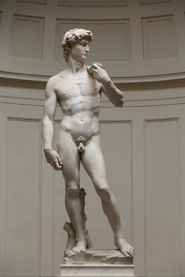 David, completed by Michelangelo in 1504, is one of the most renowned works of the Renaissance. David, completed by Michelangelo in 1504, is one of the most renowned works of the Renaissance.
